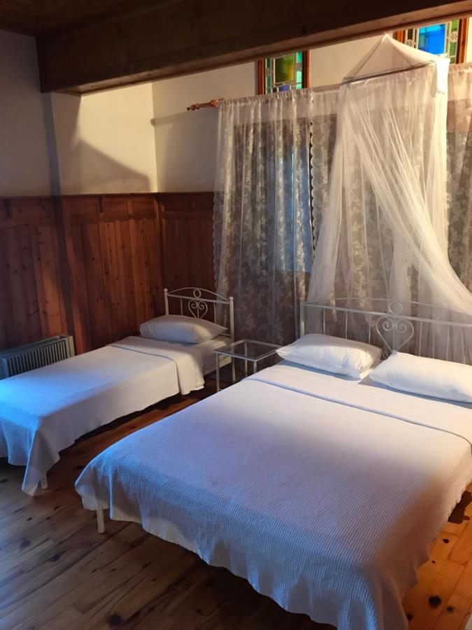 9Mouses Chasiotis Guest House Ampelakia Luaran gambar
