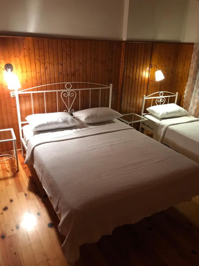 9Mouses Chasiotis Guest House Ampelakia Luaran gambar