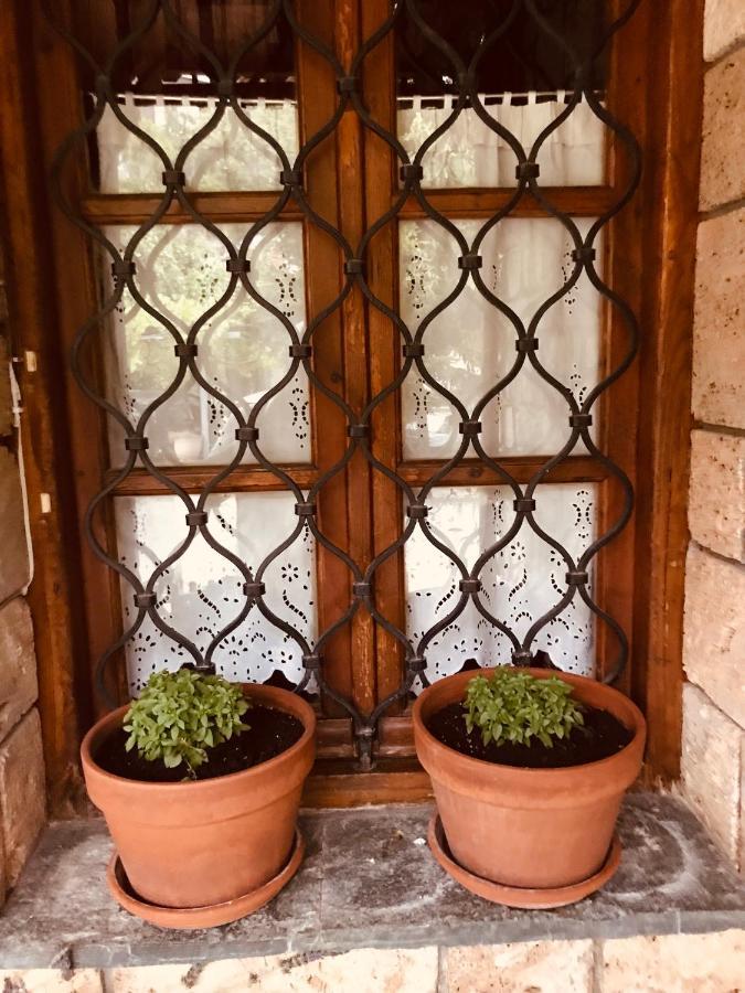 9Mouses Chasiotis Guest House Ampelakia Luaran gambar