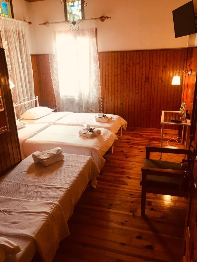 9Mouses Chasiotis Guest House Ampelakia Luaran gambar