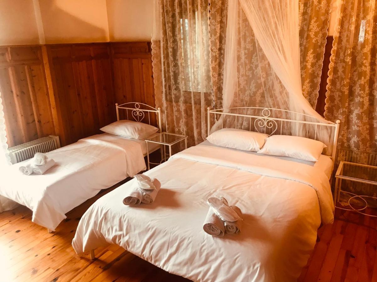 9Mouses Chasiotis Guest House Ampelakia Luaran gambar