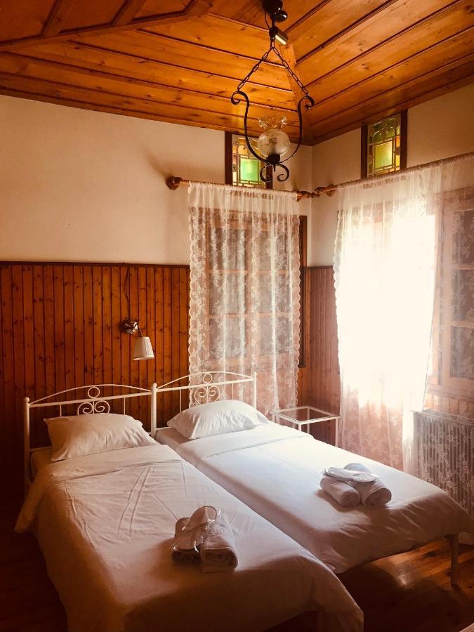 9Mouses Chasiotis Guest House Ampelakia Luaran gambar