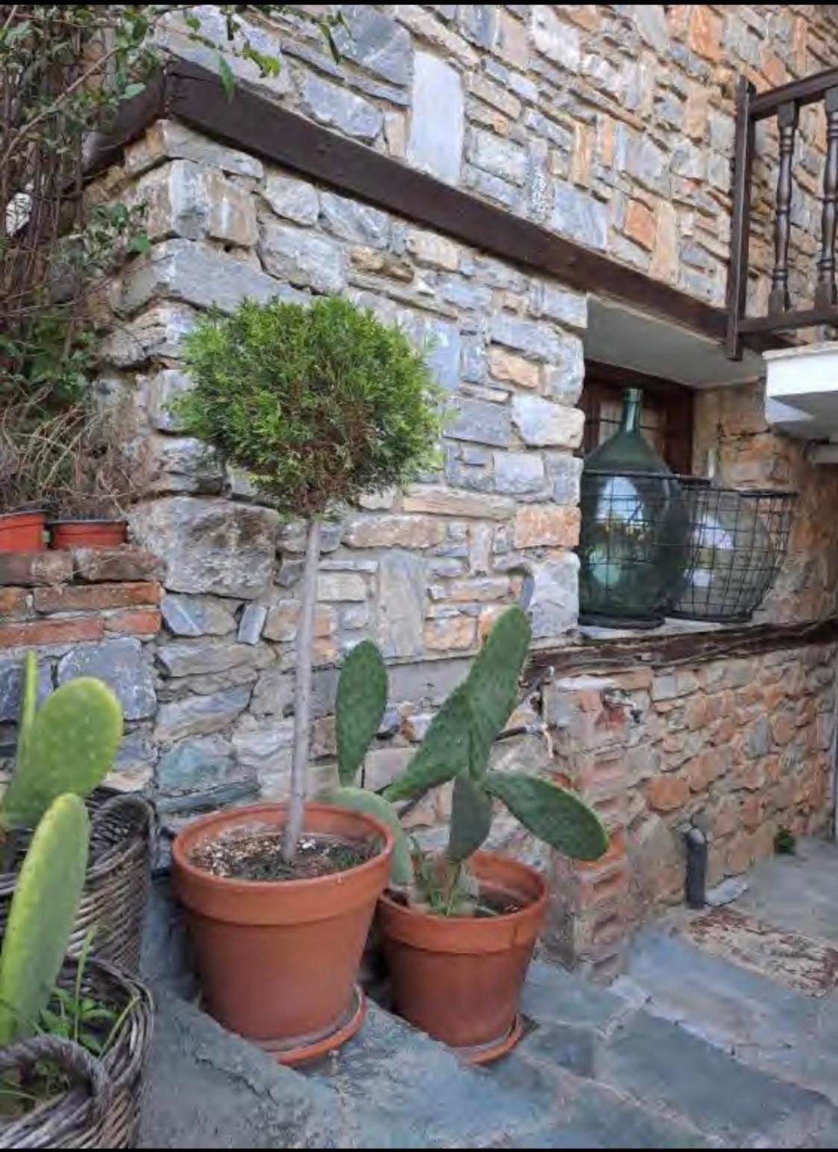 9Mouses Chasiotis Guest House Ampelakia Luaran gambar