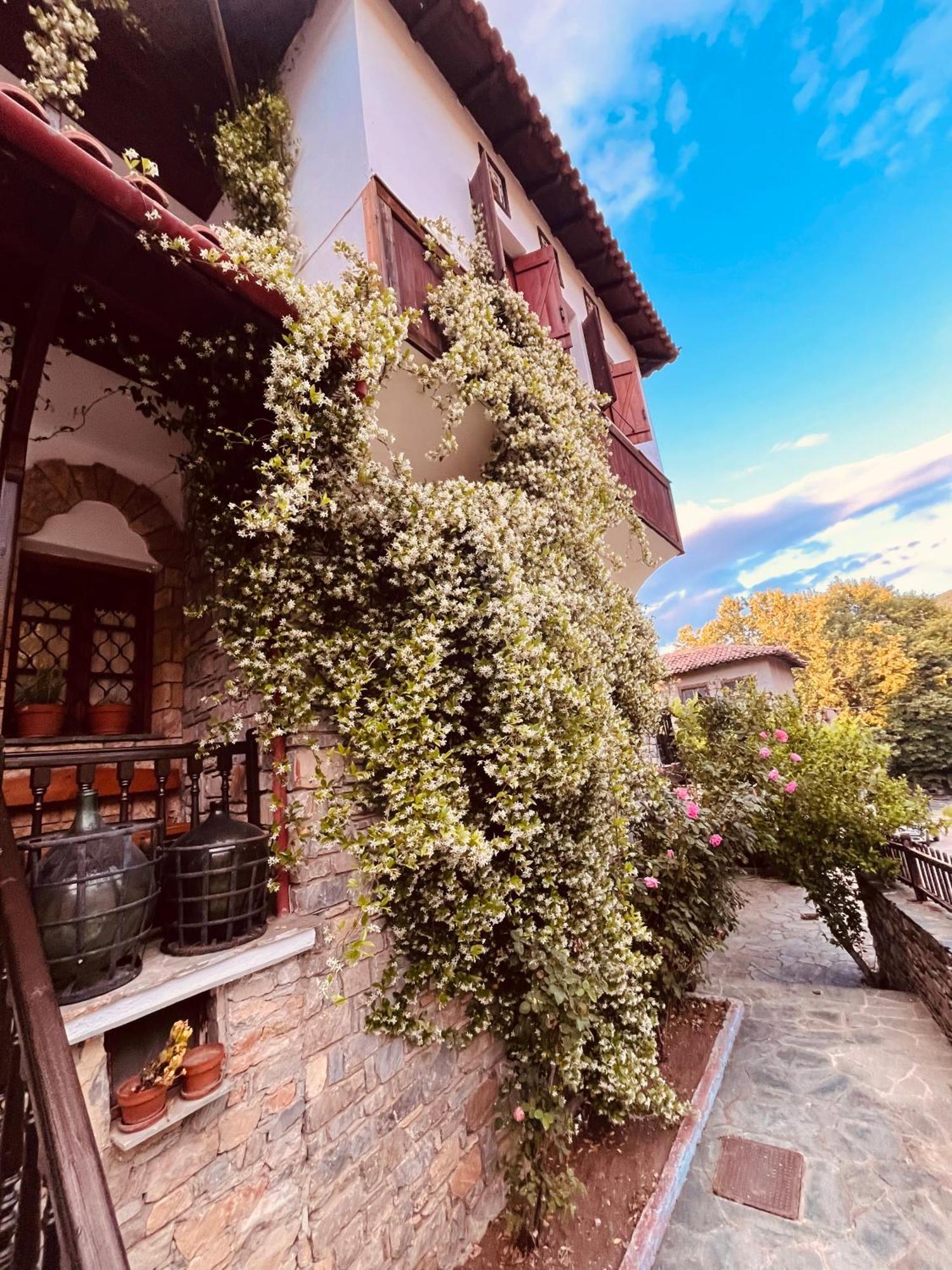 9Mouses Chasiotis Guest House Ampelakia Luaran gambar